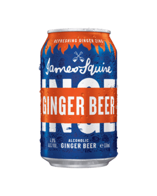 James Squire Alcoholic Ginger Beer 330ml Can 24 Pack